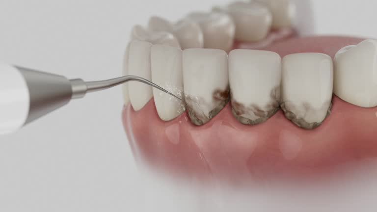 Reliable Dental contractor in Sterling, KS by Dentist Open Now